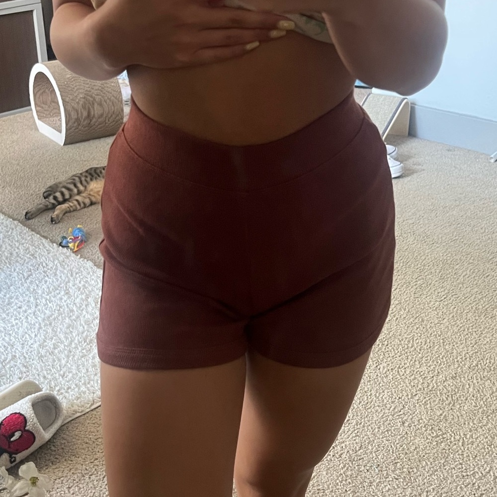 Brown Soft but Stylish Zara Shorts
